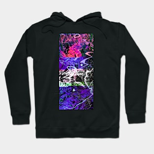 Ultraviolet Dreams 378 Hoodie